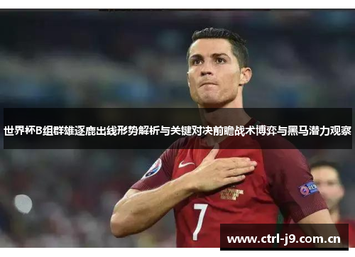 世界杯B组群雄逐鹿出线形势解析与关键对决前瞻战术博弈与黑马潜力观察